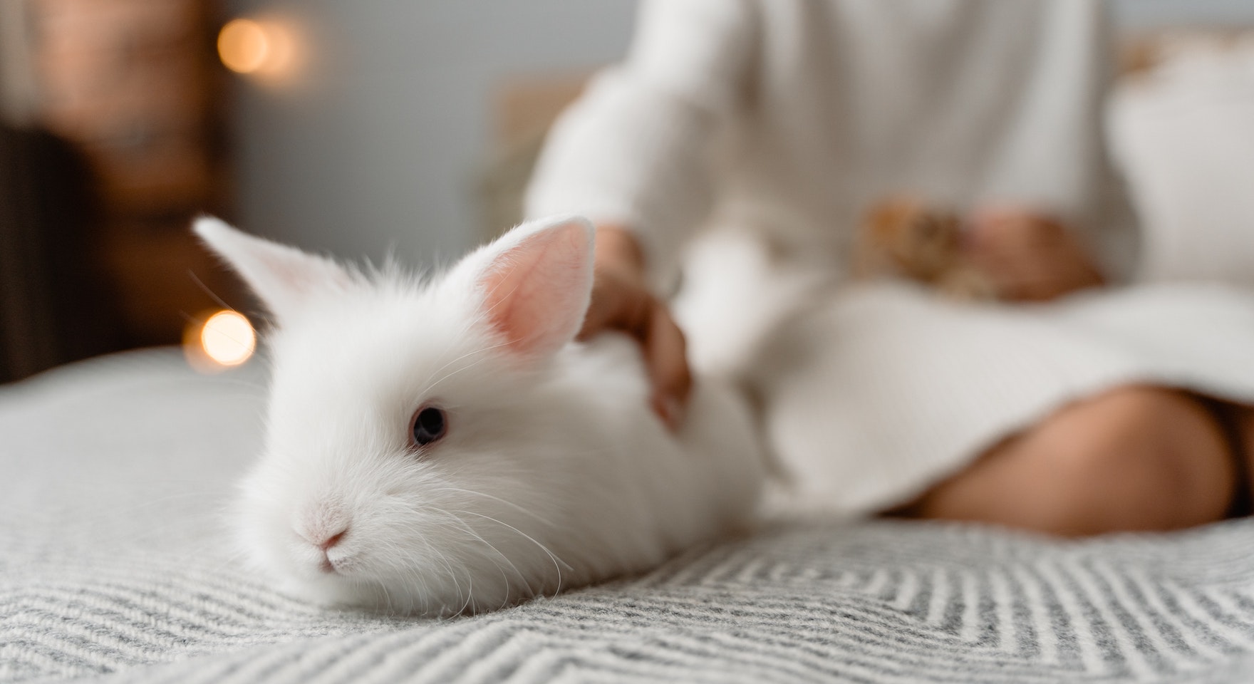 a woman smile to a dog