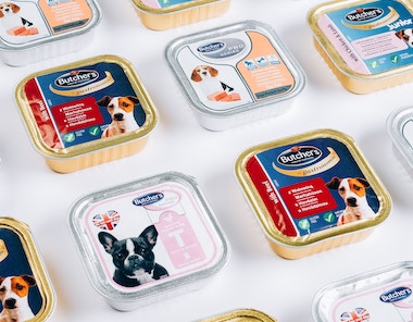 a dog wearing a red cloth